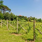 House & Wine Dom wakacyjny