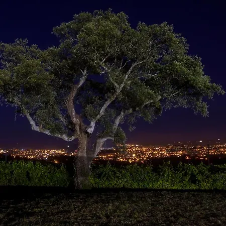 House & Wine Casa vacanze