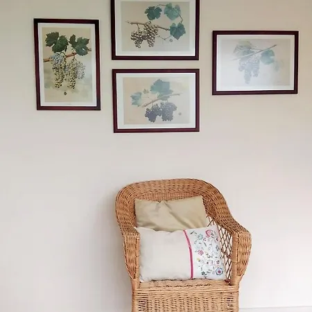 Semesterbostad House&wine Braga