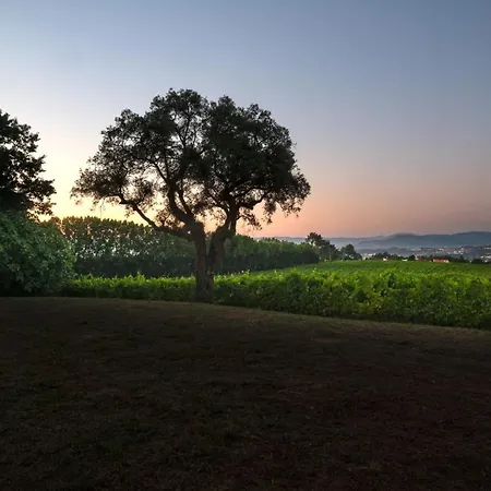 House & Wine בית נופש בראגה