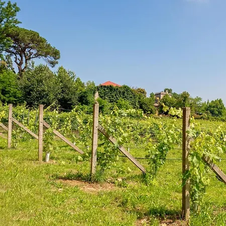 House&wine Semesterbostad