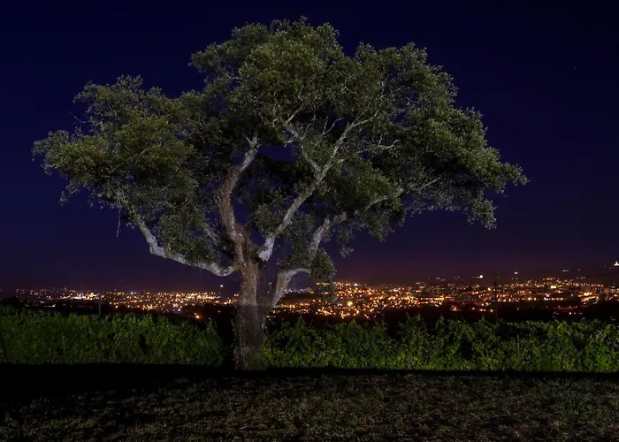 House & Wine Σπίτι διακοπών