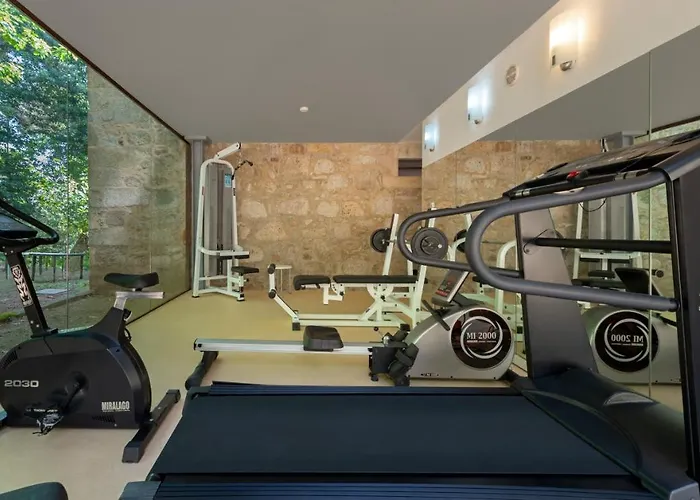 House & Wine Σπίτι διακοπών Μπράγκα