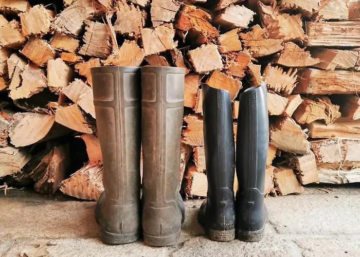 House & Wine Σπίτι διακοπών