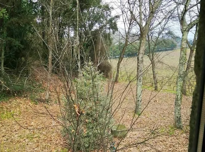 House & Wine * Μπράγκα