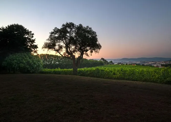 House & Wine Σπίτι διακοπών Μπράγκα