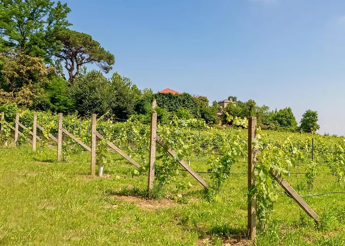 House & Wine Hébergement de vacances